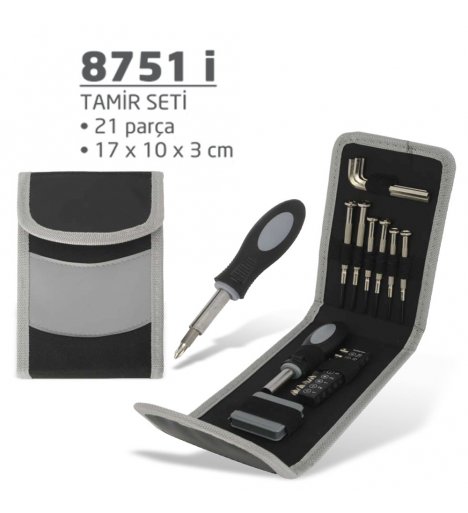Tamir Seti (8751 i)